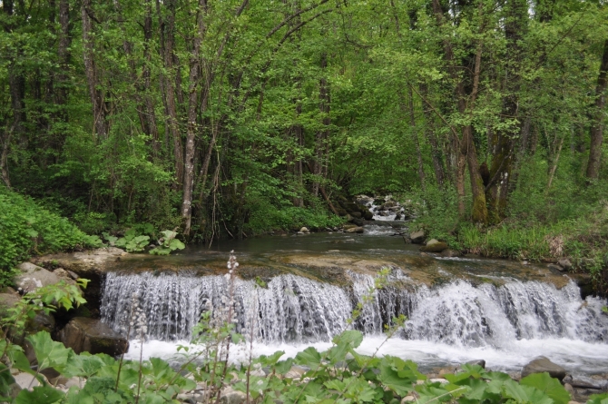 NOVITA' PERCORSO ENERGETICO NEL BOSCO PER PRINCIPIANTI ED ANCHE BAMBINI - IL CASOLARE BIOENERGETICO